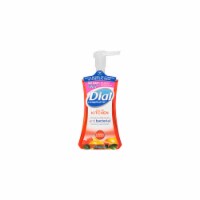 Dial Complete 7.5 Oz. Citrus Sunburst Kitchen Foaming Hand Wash 2138225