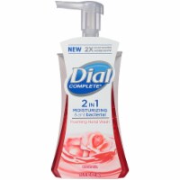 Dial Complete 2 in 1 Rose Oil Foaming Hand Wash Perspective: Main