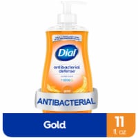 Dial Complete® Gold Liquid Antibacterial Hand Soap