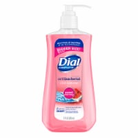 Dial® Antibacterial Sweet Watermelon Liquid Hand Soap