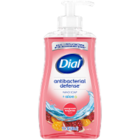 Dial® Antibacterial Defense™ Liquid Hand Soap Pomegranate & Tangerine Perspective: Main