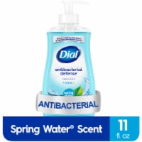 Dial Complete® Spring Water Liquid Antibacterial Hand Soap