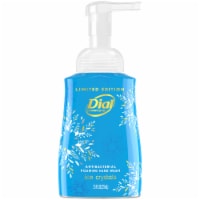 Dial Complete® Hand Wash Ice Crystals Foaming Perspective: Main