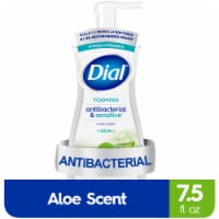 Dial Complete® Clean + Gentle™ Hypoallergenic Aloe Antibacterial Foaming Hand Wash