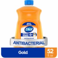 Dial Complete® Antibacterial Liquid Hand Soap - Gold