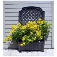 Exaco 1.420Grey Calypso Planter in Grey 1.420Grey