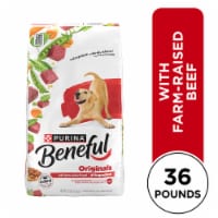 Purina Beneful Original Beef