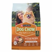 Purina® Dog Chow® Little Bites Real Chicken & Beef for Small Dog Dry Dog Food Perspective: Main