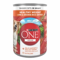 Purina ONE® SmartBlend® Healthy Weight Lamb & Brown Rice Entree Tender Cuts Adult Wet Dog Food