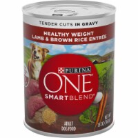 Purina One® Smart Blend Lamb & Brown Rice Adult Wet Dog Food