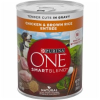 Purina ONE® SmartBlend® Tender Cuts Chicken & Brown Rice Entree in Gravy Adult Wet Dog Food