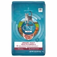 Purina ONE® Urinary Tract Health Formula Adult Dry Cat Food Perspective: Main