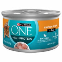 Purina ONE® Natural High Protein True Instinct Chicken Recipe Gravy Wet Cat Food Perspective: Main