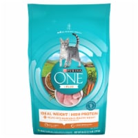Purina ONE Healthy Metabolism Natural Adult Dry Cat Food