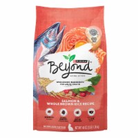 Beyond Simply Salmon & Whole Brown Rice Recipe Adult Dry Cat Food
