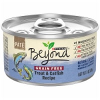 Purina® Beyond® Grain Free Trout & Catfish Recipe Pate Wet Cat Food