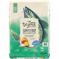 Beyond Grain Free Ocean Whitefish & Egg Recipe Adult Dry Cat Food Perspective: Main
