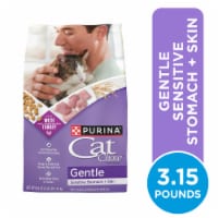 Purina® Cat Chow Gentle Dry Cat Food