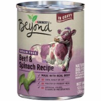 Beyond Grain Free Beef & Spinach Wet Dog Food Perspective: Main