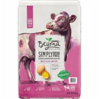 Beyond Grain Free Beef & Egg Recipe Adult Dry Dog Food Perspective: Main