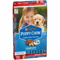 Puppy Chow® Healthy Start Nutrition Complete Dry Dog Food Bonus Size Perspective: Main
