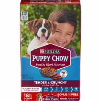 Puppy Chow Tender & Crunchy Real Beef & Rice Dry Puppy Food Perspective: Main