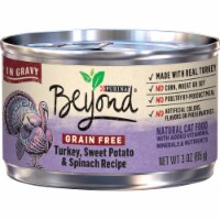 Beyond Grain Free Turkey Sweet Potato & Spinach Recipe Wet Cat Food Perspective: Main