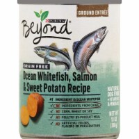 Beyond Purina - Dog Fd Can Wfsh Slmn Pot - Case of 12-13 oz. Perspective: Main