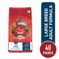 Purina ONE® SmartBlend Natural Large Breed Formula Adult Dry Dog Food