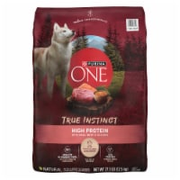 Purina ONE True Instinct High Protein Adult Dry Dog Food Real Beef & Salmon Perspective: Main