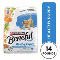 Purina Beneful Healthy Puppy Natural High Protein Dry Dog Food With Farm-Raised Chicken Perspective: Main