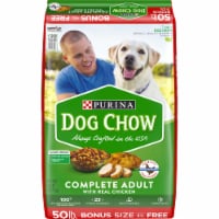 Dog Chow Complete with Real Chicken Adult Dry Dog Food Perspective: Main