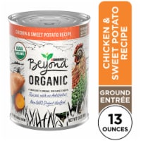 Purina Beyond Organic Chicken & Sweet Potato Wet Dog Food