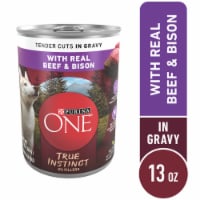 Purina ONE SmartBlend Natural Beef & Barley Entree Adult Wet Dog Food