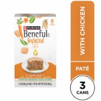 Purina Beneful Infused Wet Pate Dog Food With Real Chicken, Carrots and Spinach, With Fish Oil Perspective: Main