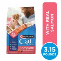 Purina Cat Chow Complete Dry Cat Food Real Salmon Perspective: Main