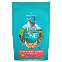 Purina ONE® Tender Selects Blend with Real Salmon Natural Dry Cat Food