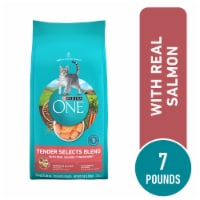 Purina ONE® Tender Selects Blend with Real Salmon Natural Adult Dry Cat Food