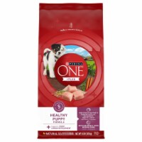 Purina ONE® +Plus Healthy Puppy Formula Perspective: Main