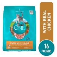 Purina ONE Tender Selects Adult Natural Dry Cat Food Real Chicken Perspective: Main