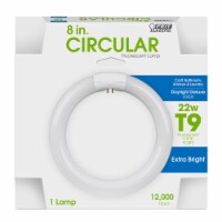 Feit Electric 22 watt T9 8 in. Dia. Circline Fluorescent Bulb Daylight Linear 6500 K 1 pk -