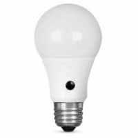 Feit Electric Intellibulb A19 E26 (Medium) LED Dusk to Dawn Bulb Natural Light 60 Watt