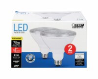 Feit Electric 75 Watt PAR38 Flood Daylight LED Lightbulbs