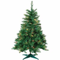 Sterling Tree Company 2'p/L Colrad Spruce Tree 1484-20M