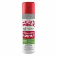 Nature's Miracle® Stain & Odor Remover Foam Perspective: Main