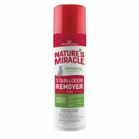Nature's Miracle® Foam Stain & Odor Remover