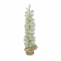 Arett Sales 2' Potted Green Frosted Pine Slim Artificial Christmas Tree - Unlit