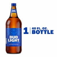 Bud Light American Light Lager Beer Perspective: Main