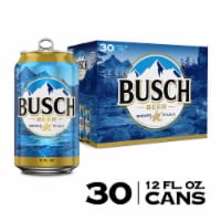 Busch American Lager Beer Perspective: Main