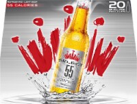 Bud Select 55 Light Lager Beer Perspective: Main